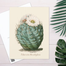 Botanical Illustrations Postcards