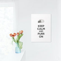 Keep Calm and Purr on Set