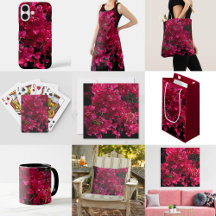 Bougainvillea Red Tropical Vining Shrub Photo