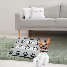 Funny Pet Dog and Cat Accessories