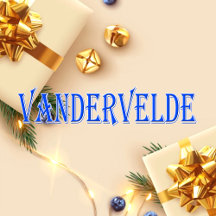 Vandervelde_Name T-Shirt