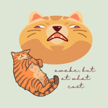 Cats Travel Accessories