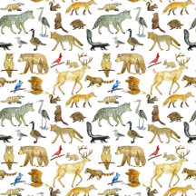 Great Lakes Wildlife by Terri Wilhelm