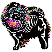  SUGARSKULL LAPPHUND & CHOW