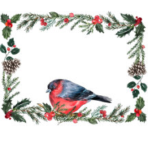 Winter Red Bird Botanical Christmas