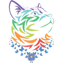 Creative Art & Imagination T-Shirt Collection