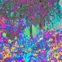 Trippy Lime Green and Purple Garden Sunrise