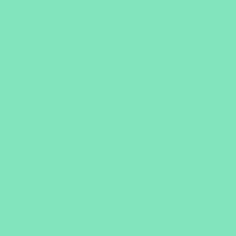Trend Color - Minty Green