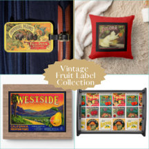 Vintage Fruit Labels