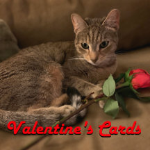Valentine's Day cards