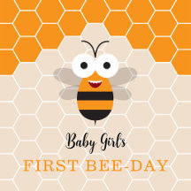 Baby Girl First Birthday Bee Day Honeybee Suite