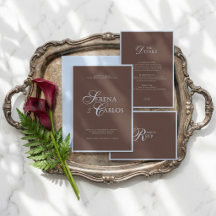 Chocolate Brown Powder Blue Modern Wedding