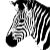 ZebrasEverywhere