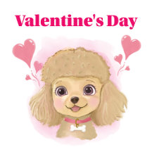 Dog Valentine Gift Set – “I Woof You” Pastel