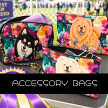 ACCESSORY BAGS