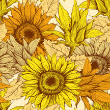Yellow Sunflower