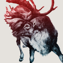 I HEAR YOU! NATURE MESSAGING GRAPHIC COLLECTION