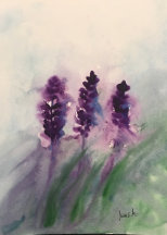 Harley’s Adventures 