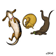 For the Love of Dogs