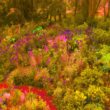 Cool Golden Panoramic Garden Flowers View