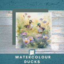 DUCKS WATERCOLOR.