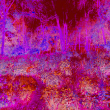 Trippy Red and Magenta Impressionistic Landscape