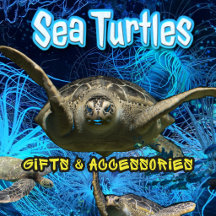 Coastal Gifts & Accessories 