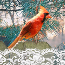 Winter Party: Cardinal in Pine Tree Theme