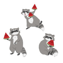  Raccoons cute minimalist pattern