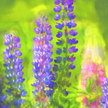 Flower and Wildflower Cards and Mugs