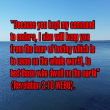 Biblical Scripture Verses (8)