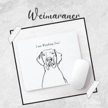 Weimaraner
