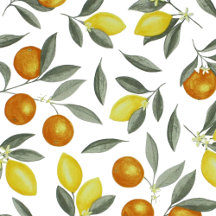 FRUITS, PLANTS AND FLOWERS