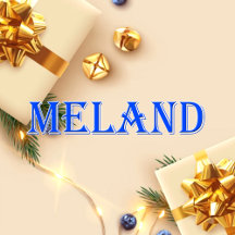 Meland_Name T-Shirt