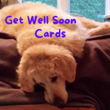 Get Well Soon Cards