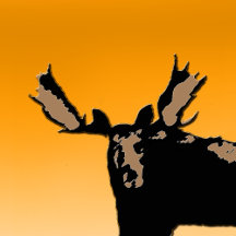 Wild Animal Graphics Cards