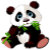 PANDA_Precious