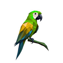 Geometric flying animals