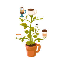 Coffee Plant