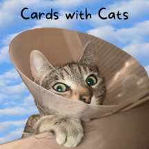 Cards with Cats