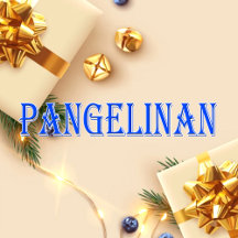 Pangelinan_Name T-Shirt