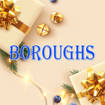 Boroughs_Name T-Shirt