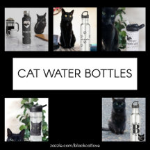 Cat Water Bottles