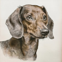 Low-Rider Legends: The Dachshund Collection