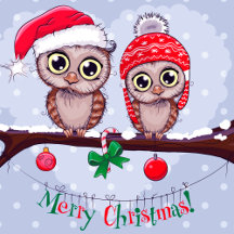 Sweet Owl in Christmas 