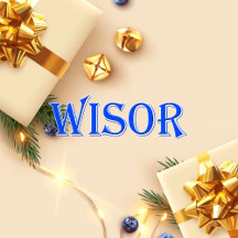 Wisor_Name T-Shirt