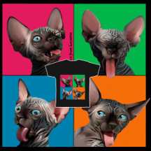 Facebuilding (Sphynx ketten)