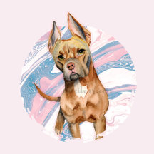 Cute American Pit Bull Terrier Dog Portrait