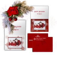 White Snow on Red Canvas