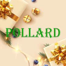 Pollard Name T-Shirt